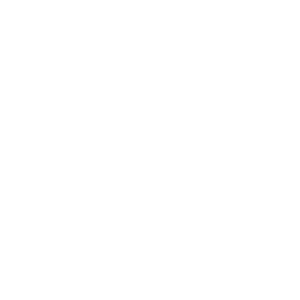 Knight Consultant